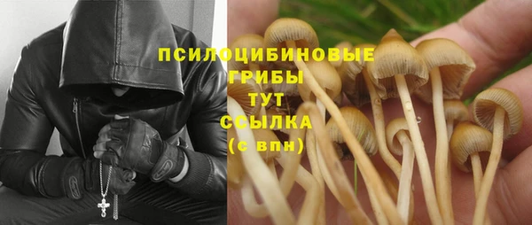 ECSTASY Костерёво