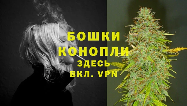 ECSTASY Костерёво