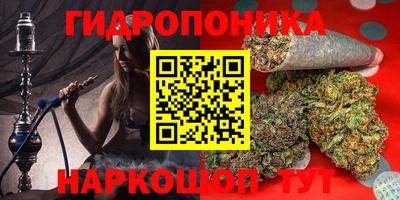 наркотики Будённовск