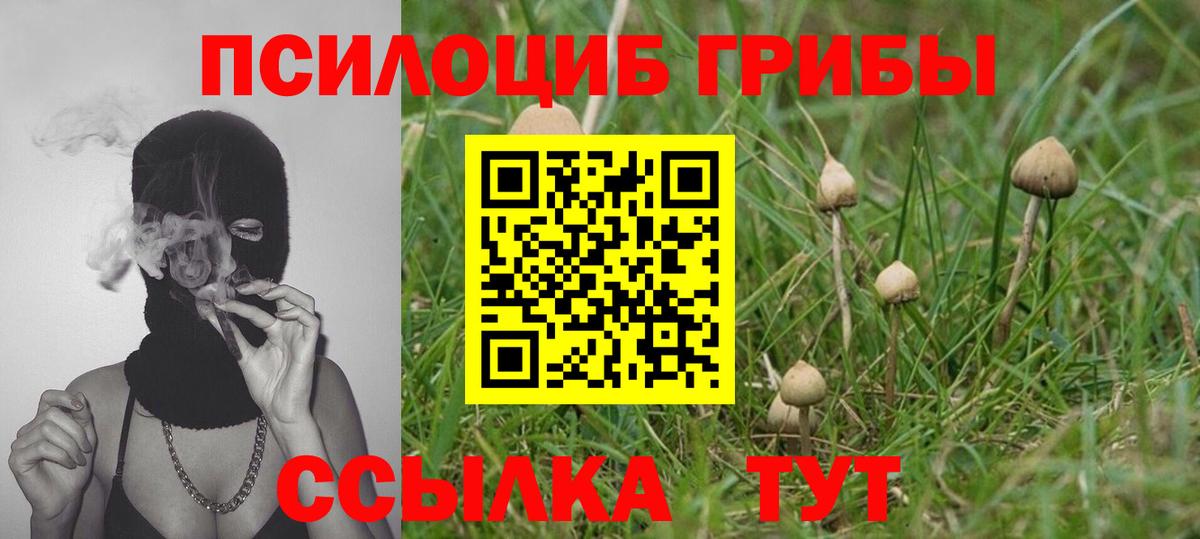 Нефтекамск  Галлюциногенные грибы MAGIC MUSHROOMS  Вход с VPN 